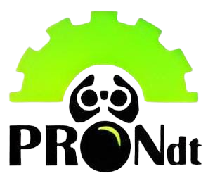 Pro-Ndt-Logo